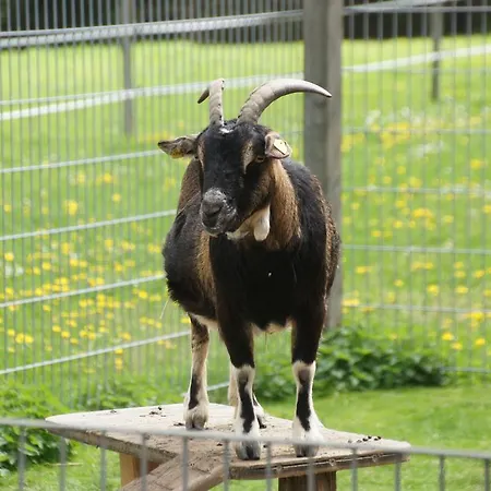 Urlaub Am Bauernhof Pichler