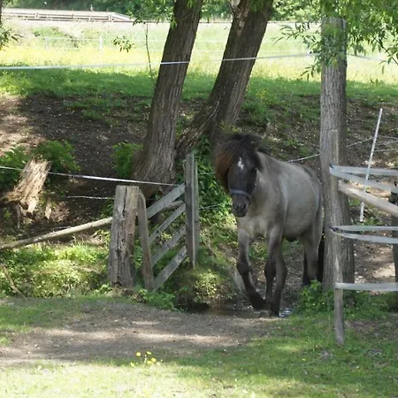 Urlaub Am Bauernhof Pichler Bauernhof *