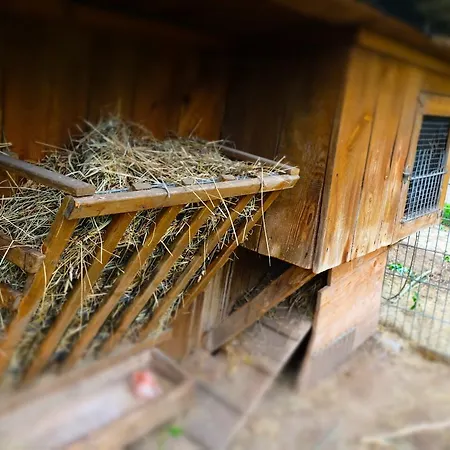 Urlaub Am Bauernhof Pichler Bauernhof